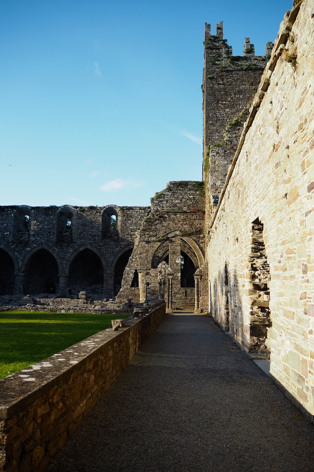 Mount Juliet & Kilkenny Wolf & Stag