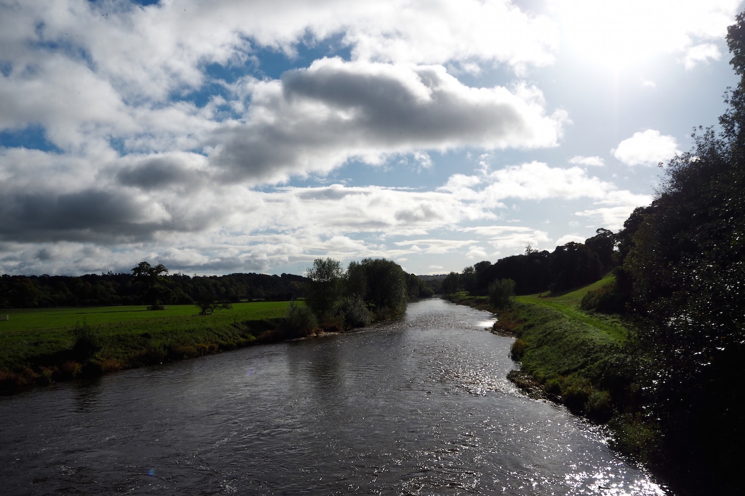 Mount Juliet & Kilkenny Wolf & Stag