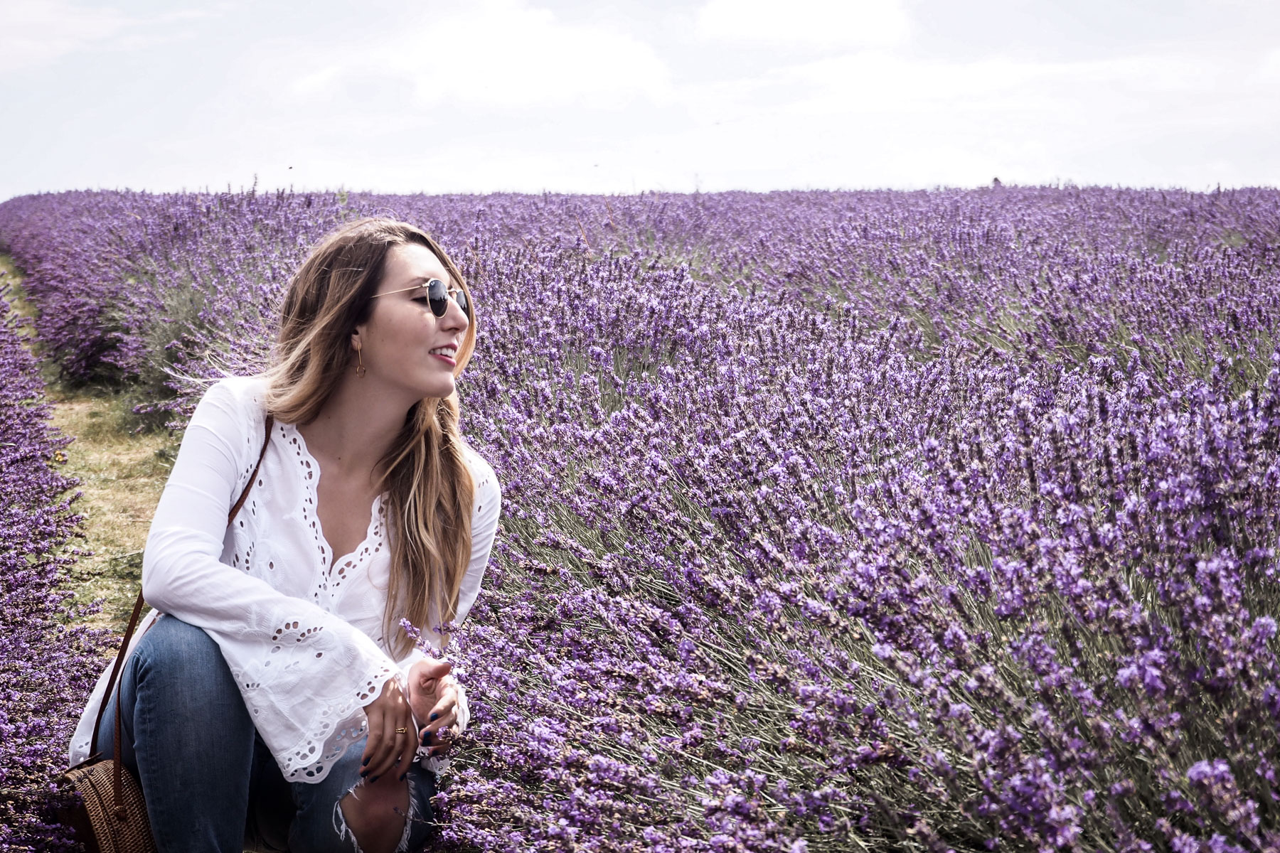 A Morning at Mayfield Lavender
